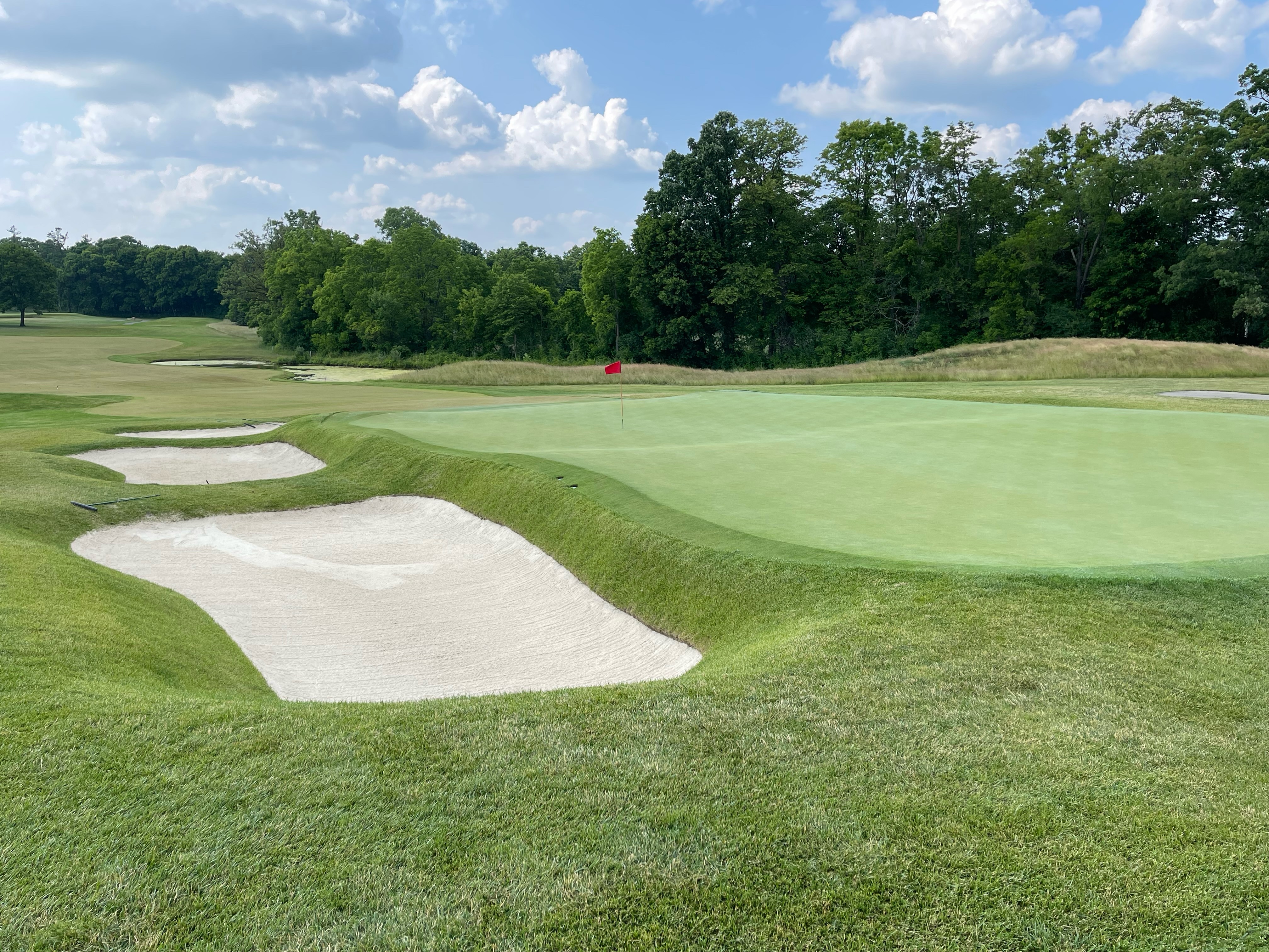 Tall fescue on a golf course.